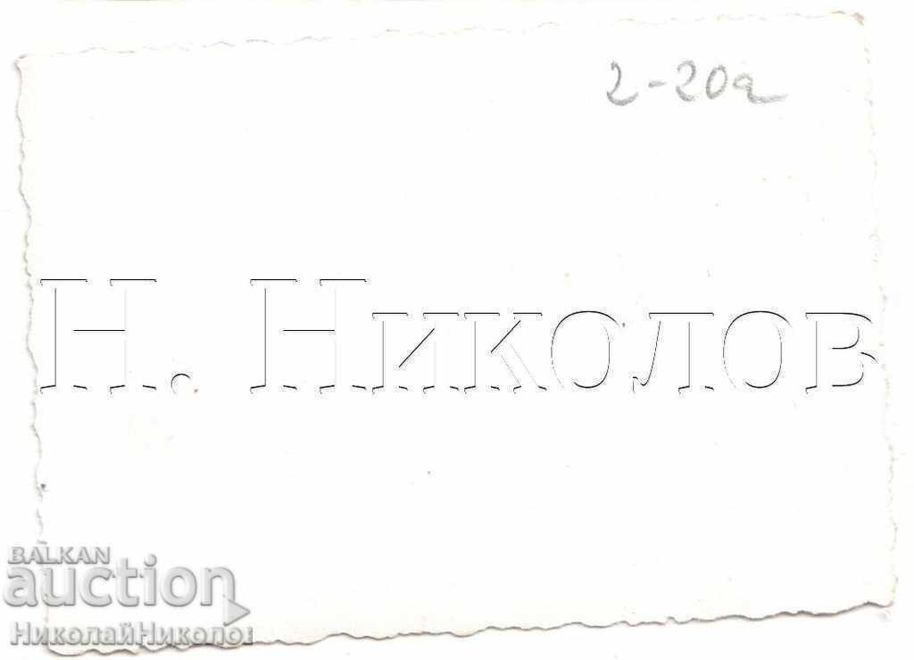 ΜΙΚΡΕΣ ΠΑΛΙΑ ΦΩΤΟΓΡΑΦΙΑ ΗΛΙΟΜΑΝΤΙΑ ΣΤΟ ΒΟΥΝΟ Β255 με τιμή € 1.50 | 2.93 BGN