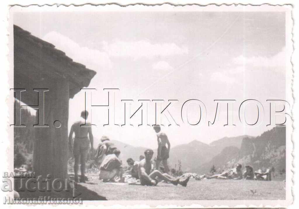 ΜΙΚΡΕΣ ΠΑΛΙΑ ΦΩΤΟΓΡΑΦΙΑ ΗΛΙΟΜΑΝΤΙΑ ΣΤΟ ΒΟΥΝΟ Β255 ΜΙΚΡΕΣ ΠΑΛΙΑ ΦΩΤΟΓΡΑΦΙΑ ΗΛΙΟΜΑΝΤΙΑ ΣΤΟ ΒΟΥΝΟ Β255