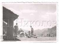 ΜΙΚΡΕΣ ΠΑΛΙΑ ΦΩΤΟΓΡΑΦΙΑ ΗΛΙΟΜΑΝΤΙΑ ΣΤΟ ΒΟΥΝΟ Β255