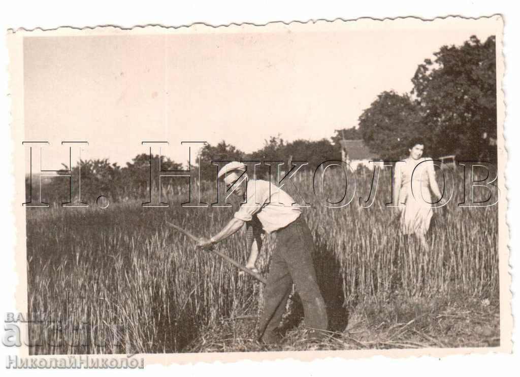 LITTLE OLD PHOTO GRANDFATHER AND GIRL B261 LITTLE OLD PHOTO GRANDFATHER AND GIRL B261