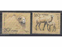 1993. China. Bactrian camel.