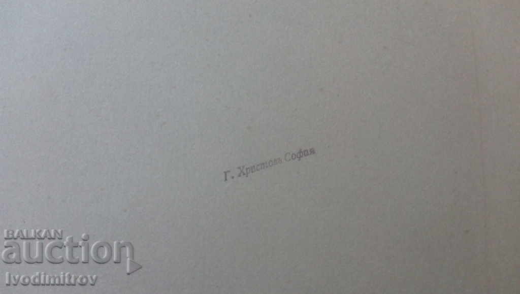 Delivery of Photo Men at the table in the Cardboard restaurant