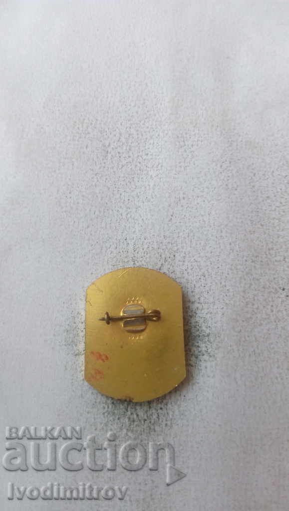 Badge District Pioneer Home of the Boy Svishtov 1954 with price 2.65 BGN | € 1.35 Badge District Pioneer Home of the Boy Svishtov 1954 with price 2.65 BGN | € 1.35