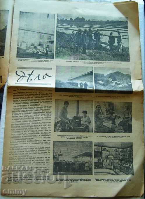 Auction Newspaper "Nashenets" / Nashenets with "Papagal" 1943 Auction Newspaper "Nashenets" / Nashenets with "Papagal" 1943