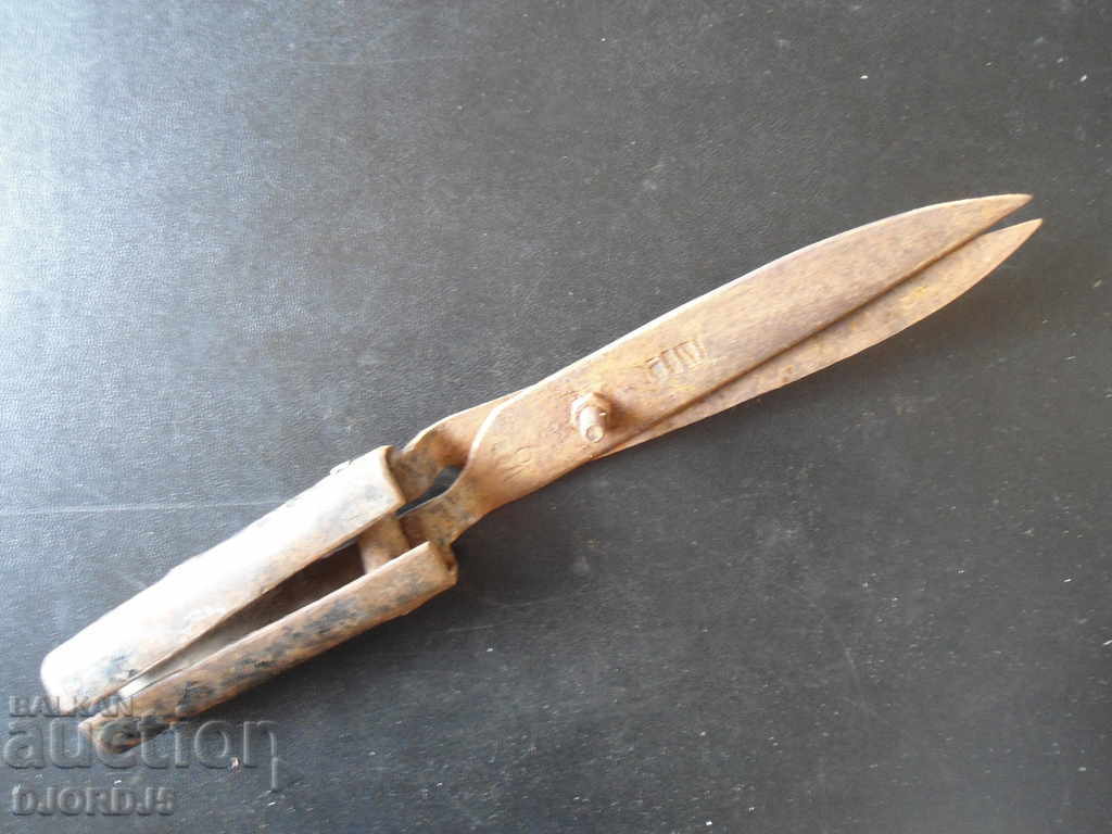 Old scissors for pruning shrubs with price 5.00 BGN | € 2.56 Old scissors for pruning shrubs with price 5.00 BGN | € 2.56