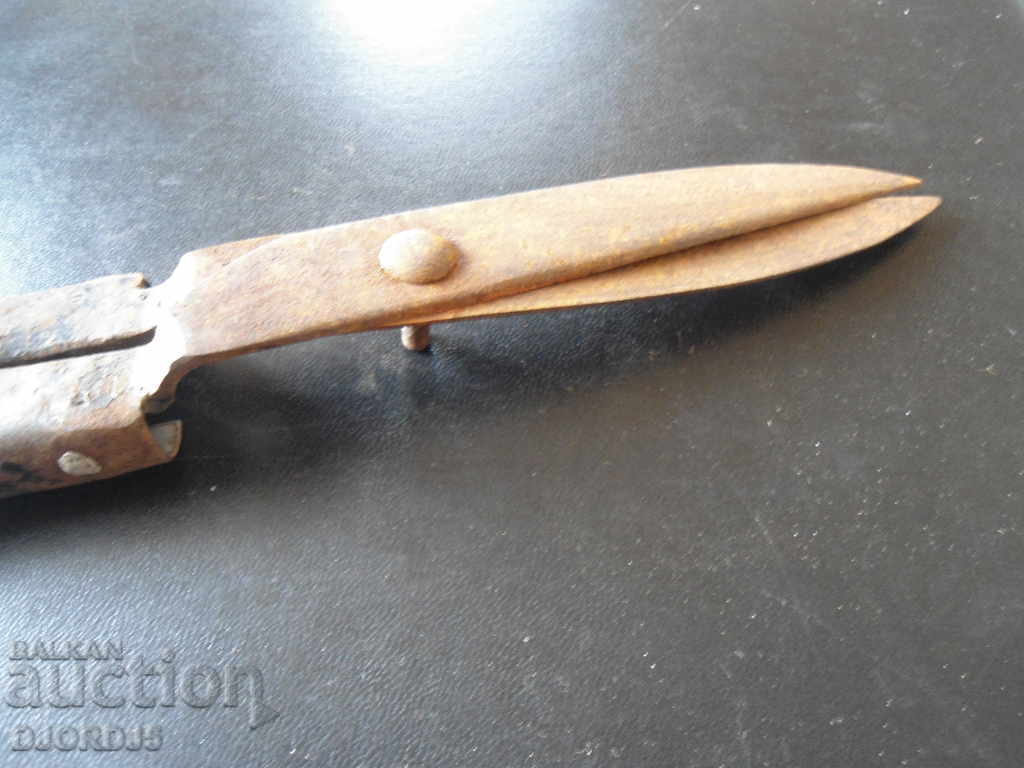 Delivery of Old scissors for pruning shrubs Delivery of Old scissors for pruning shrubs