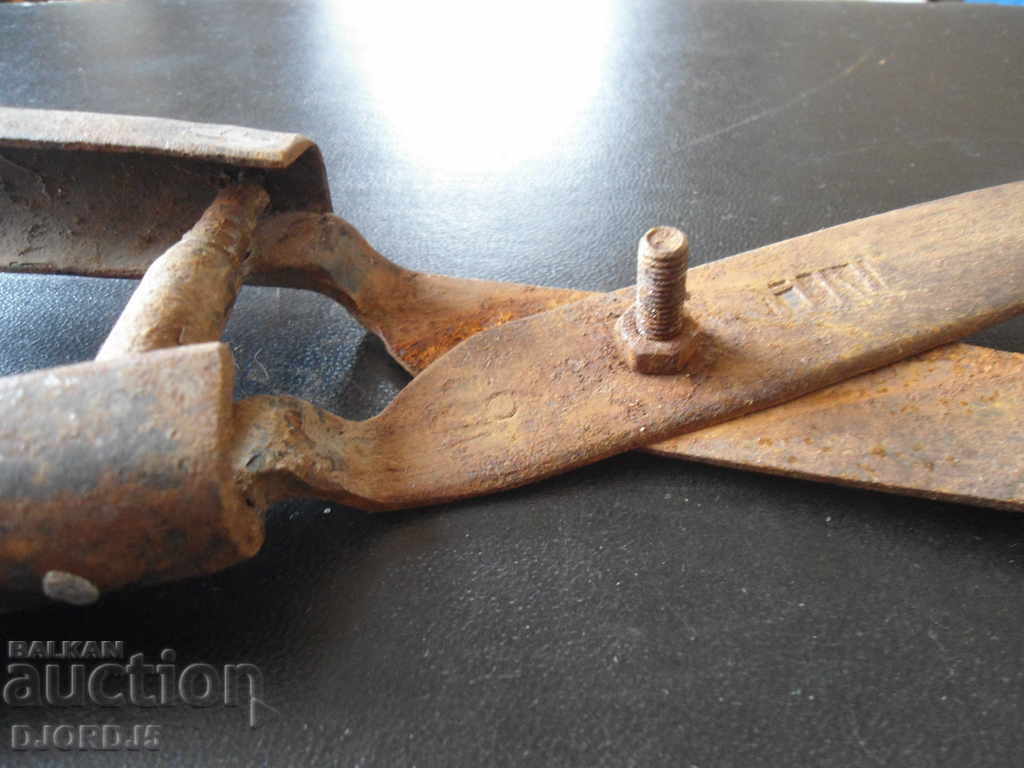 Old scissors for pruning shrubs - 6 Old scissors for pruning shrubs - 6