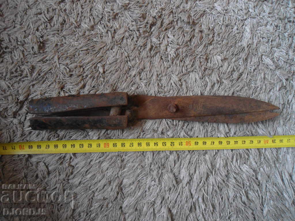 Old scissors for pruning shrubs - 7 Old scissors for pruning shrubs - 7