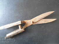 Old scissors for pruning shrubs