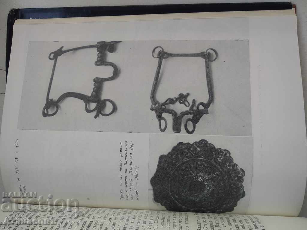 Memorial Battle of the Nations Bistra Tsvetkova - 6 Memorial Battle of the Nations Bistra Tsvetkova - 6