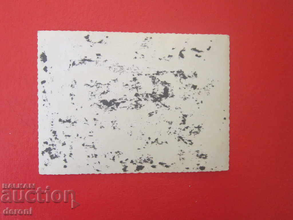 Delivery of Photo German soldier 3 Reich Original 21 Delivery of Photo German soldier 3 Reich Original 21