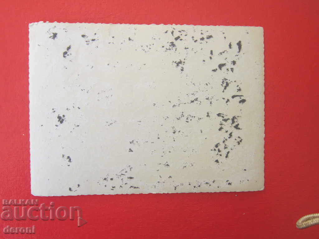 Delivery of Photo German soldiers 3 Reich Original German soldier 22 Delivery of Photo German soldiers 3 Reich Original German soldier 22