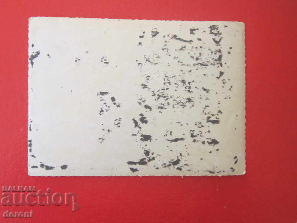 Delivery of Photo German soldiers 3 Reich Original German soldier 23 Delivery of Photo German soldiers 3 Reich Original German soldier 23