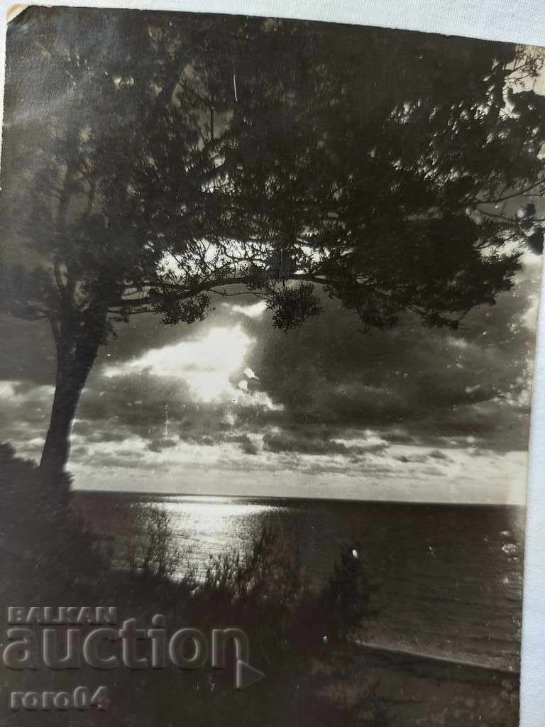 Auction  POSTCARD - WWI / WWII