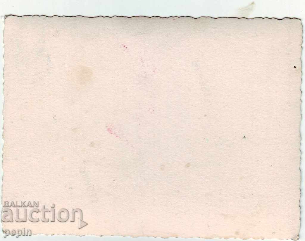 Фото -  Зима - шейна с коне с цена 2.00 лв. | € 1.02