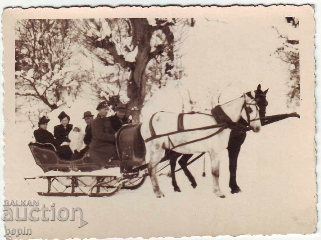 Photo - Winter - sleigh with horses