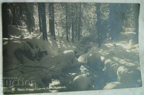 Fotografie veche de carte poștală Borovets-Cham-Koriya, iarna Tsarska Bistrica