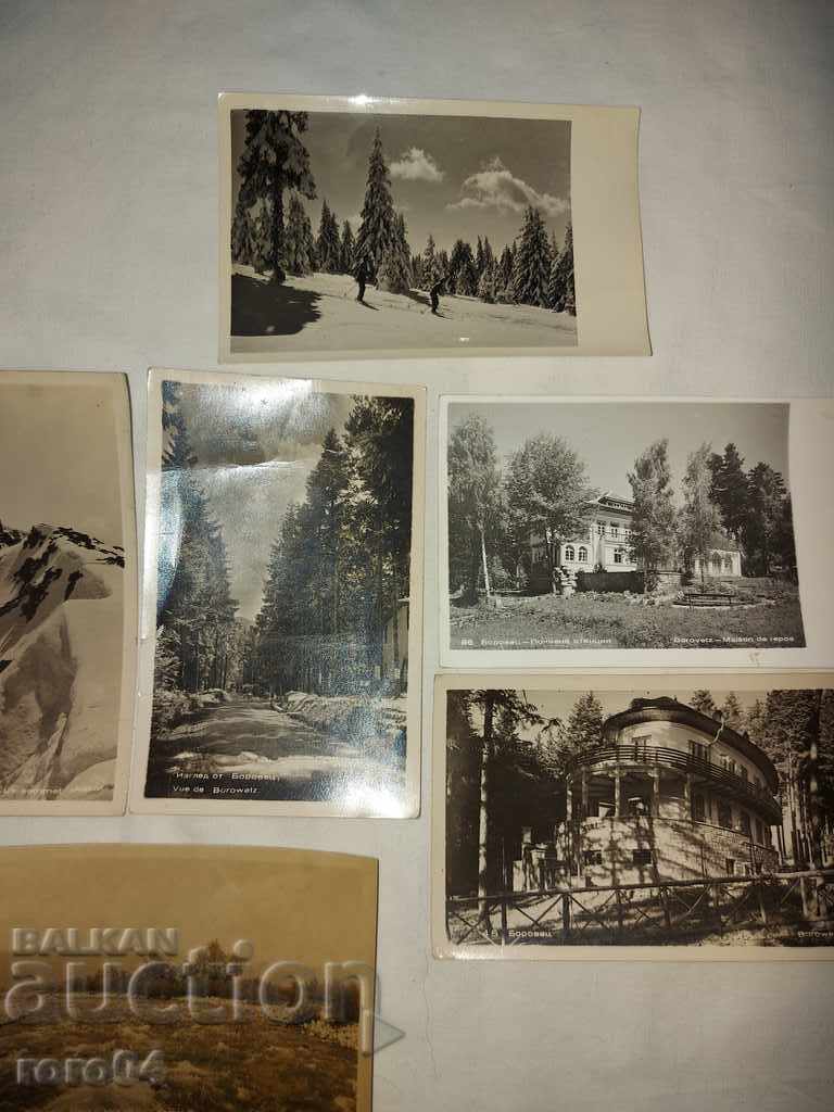 BOROVETS - SAMOKOV - RILA - VITOSHA - 5