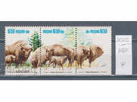 118К2023 / Πολωνία 1981 Πανίδα Προστασία της φύσης Bison (* / **)