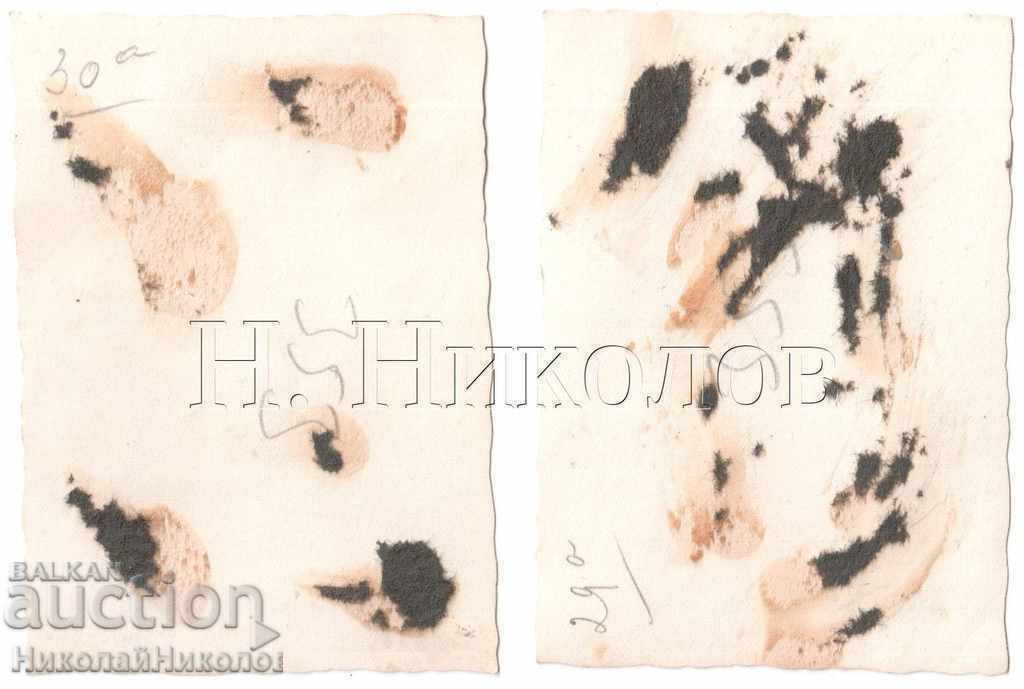 Auction TWO LITTLE OLD PHOTOS TEAM DOCTORS + HONEY. SISTERS B311 Auction TWO LITTLE OLD PHOTOS TEAM DOCTORS + HONEY. SISTERS B311