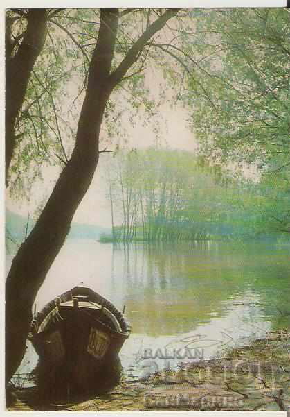 Card Bulgaria Oryahovo Danube River near the island of Esperanto *