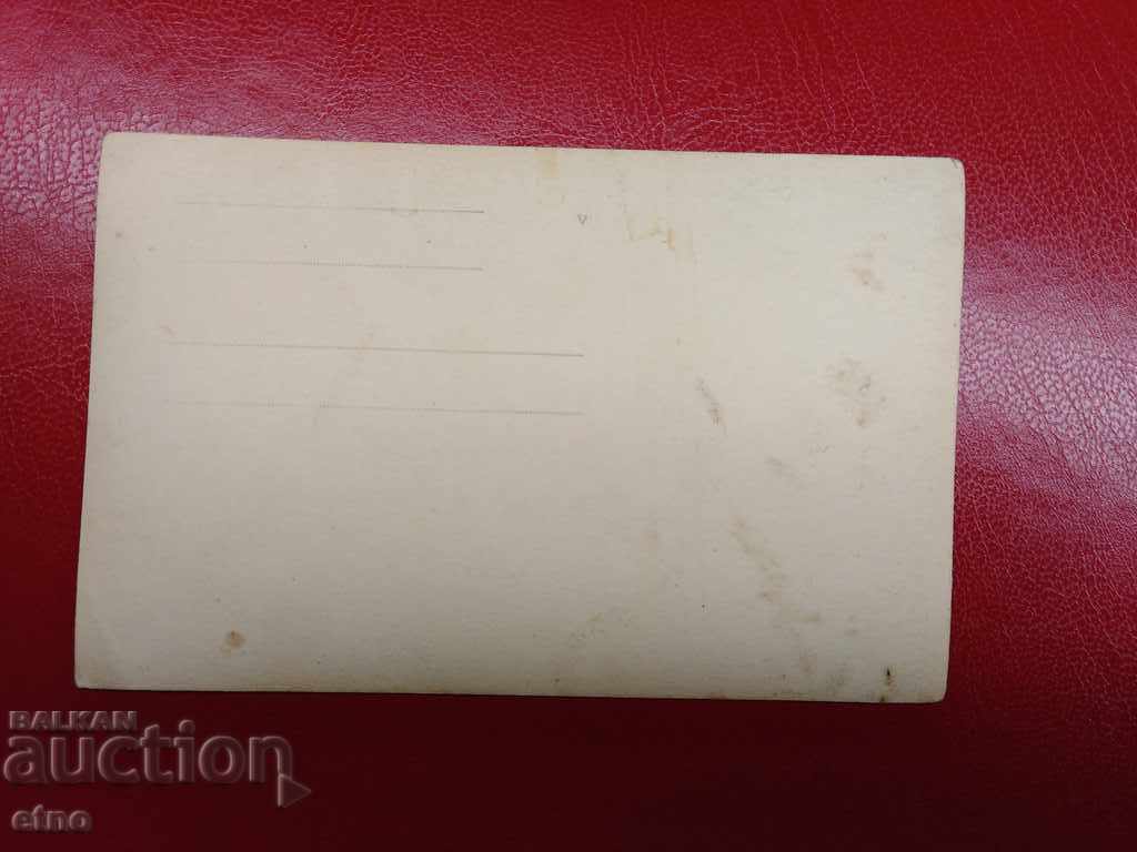 Delivery of ROYAL PHOTO-PLANE, PILOT, PLOVDIV