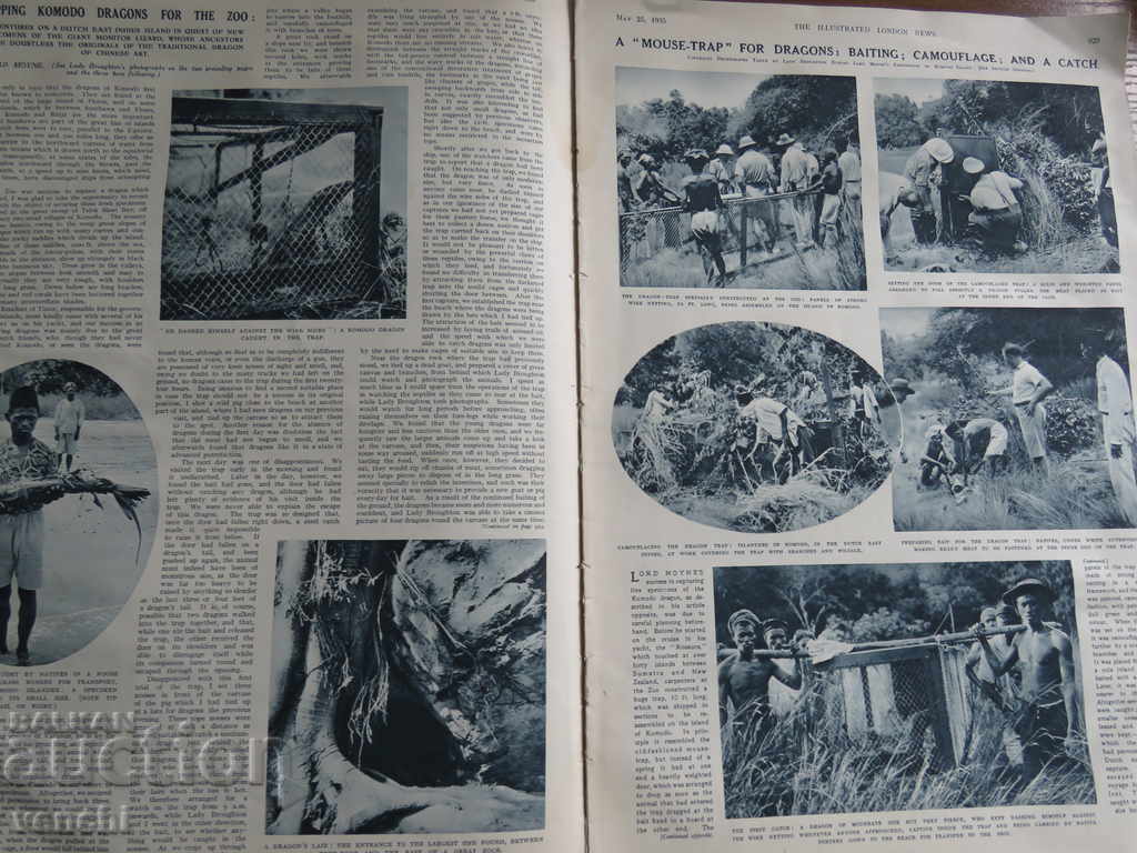 Auction  1935 - ENGRAVINGS - LONDON NEWS - ENGLISH