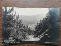 Postcard - Tryavna