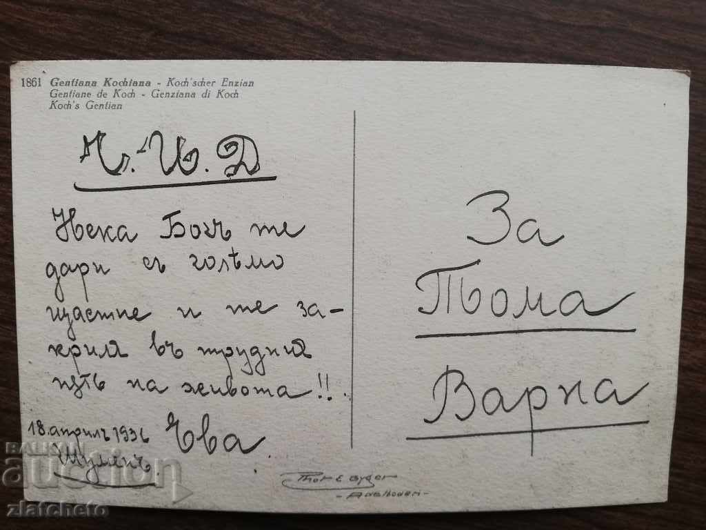 Postcard - with price 10.00 BGN | € 5.11 Postcard - with price 10.00 BGN | € 5.11