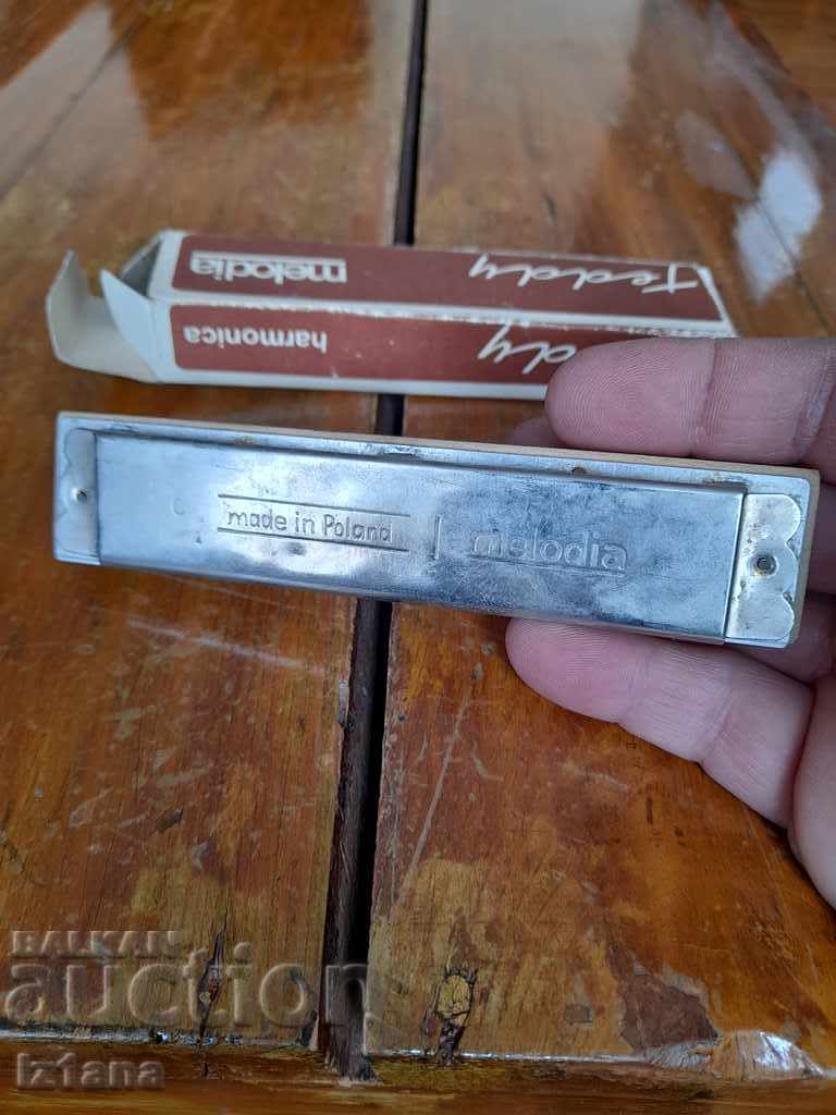 Delivery of Old accordion Melodia Teddy Delivery of Old accordion Melodia Teddy