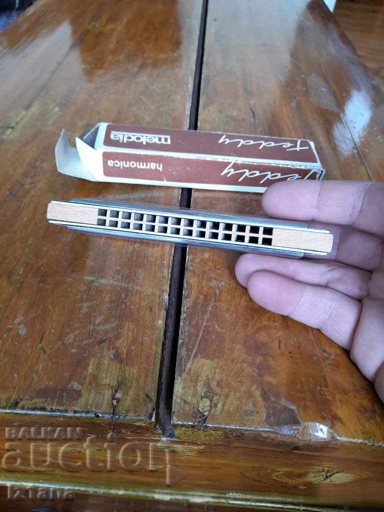 Old accordion Melodia Teddy - 6 Old accordion Melodia Teddy - 6