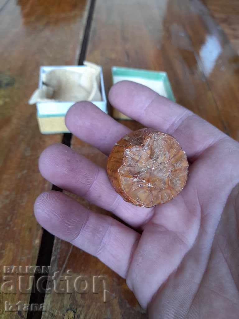 Colofoniu vechi pentru instrumente muzicale - 6 Colofoniu vechi pentru instrumente muzicale - 6