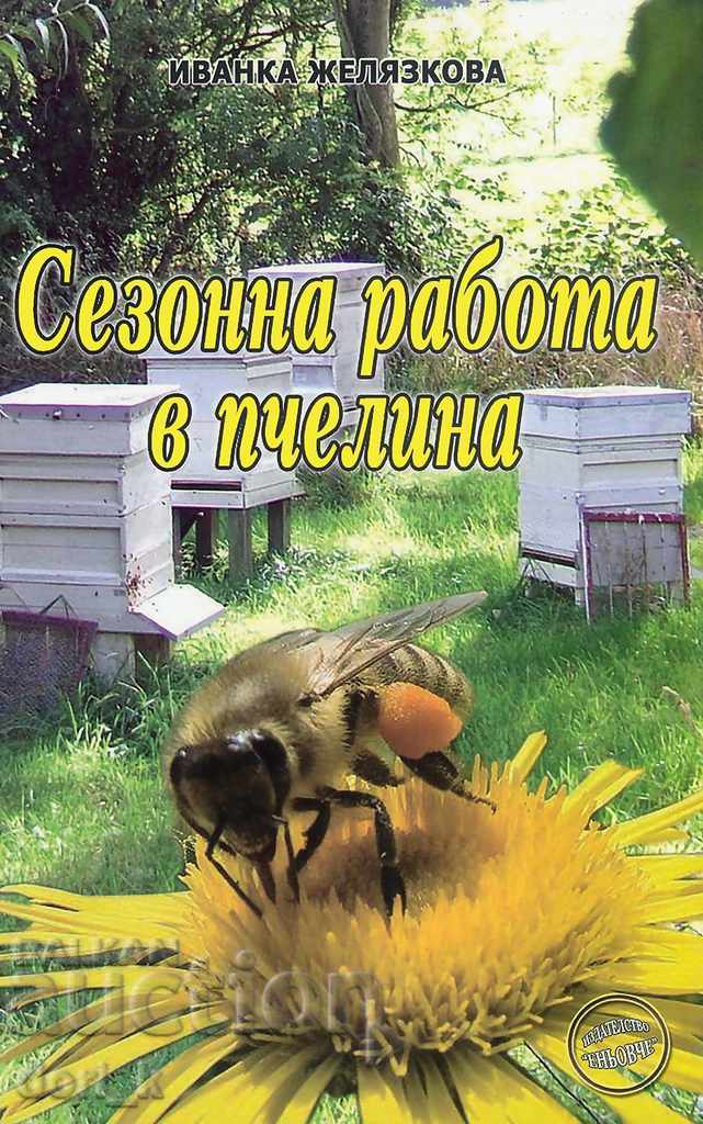 Seasonal work in apiary