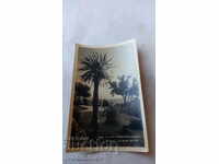 Καρτ ποστάλ Στάλιν Sea Garden