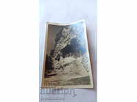 Καρτ ποστάλ Μονή Στάλιν Αλάτζα