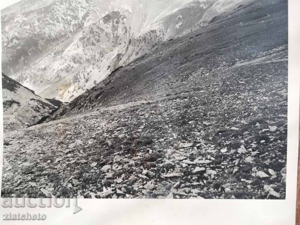 Delivery of Old photo from Rila - author 's photo 2 Delivery of Old photo from Rila - author 's photo 2