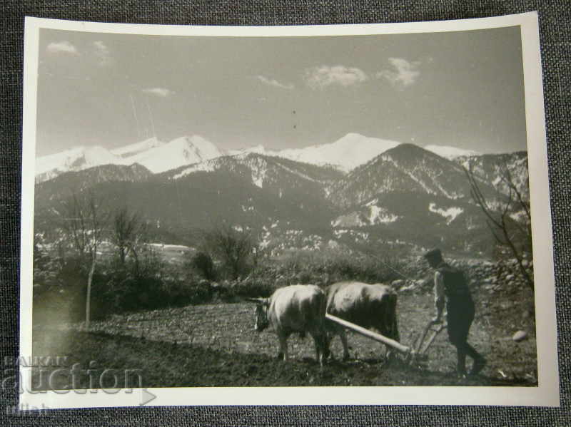 Plowing old art art photography photo 1940