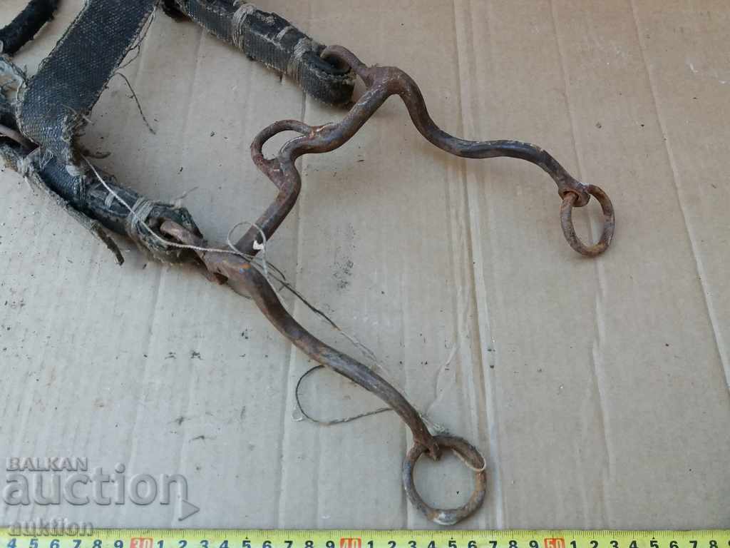 HORSE AMMUNITION, GEM, REST - 5 HORSE AMMUNITION, GEM, REST - 5