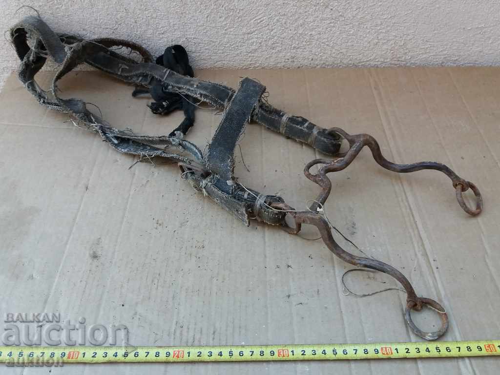 HORSE AMMUNITION, GEM, REST - 6 HORSE AMMUNITION, GEM, REST - 6