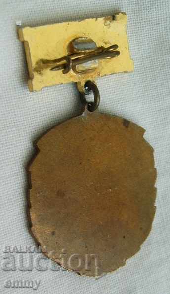 Auction Badge medal For labor award GUSV Construction Troops Auction Badge medal For labor award GUSV Construction Troops