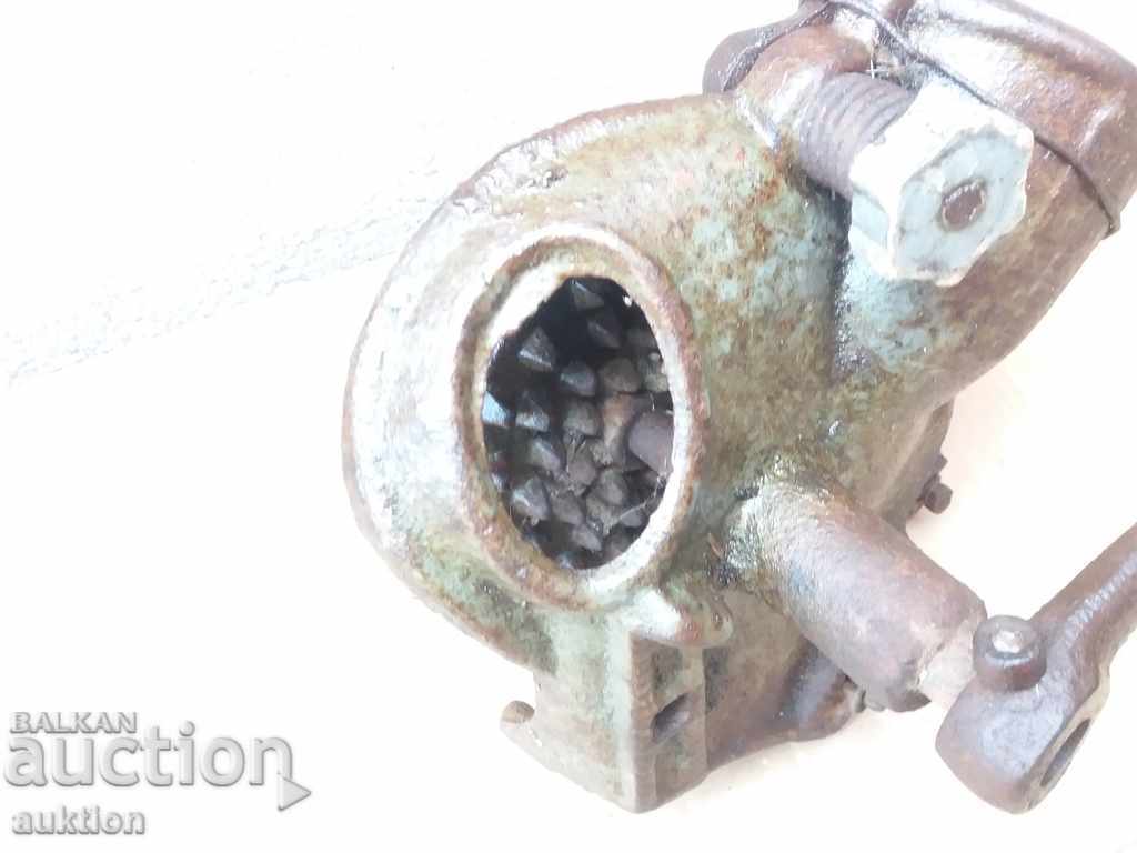 RONACHKA VECHE, MORA DE PORUMB, PORUMB - 5 RONACHKA VECHE, MORA DE PORUMB, PORUMB - 5