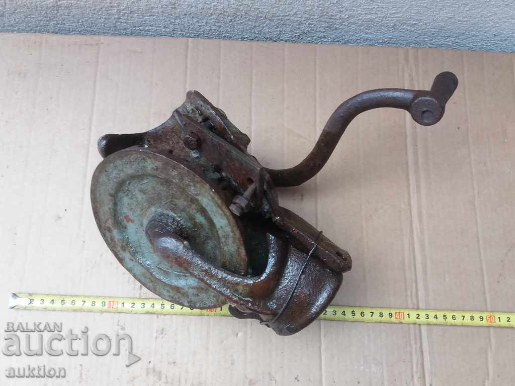 RONACHKA VECHE, MORA DE PORUMB, PORUMB - 6 RONACHKA VECHE, MORA DE PORUMB, PORUMB - 6