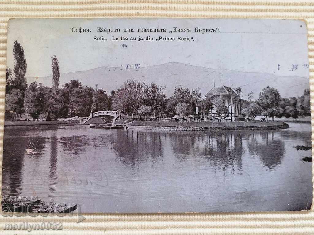 Καρτ ποστάλ Sofia φωτογραφία φωτογραφία Η λίμνη με τιμή 39.00 BGN | € 19.94 Καρτ ποστάλ Sofia φωτογραφία φωτογραφία Η λίμνη με τιμή 39.00 BGN | € 19.94
