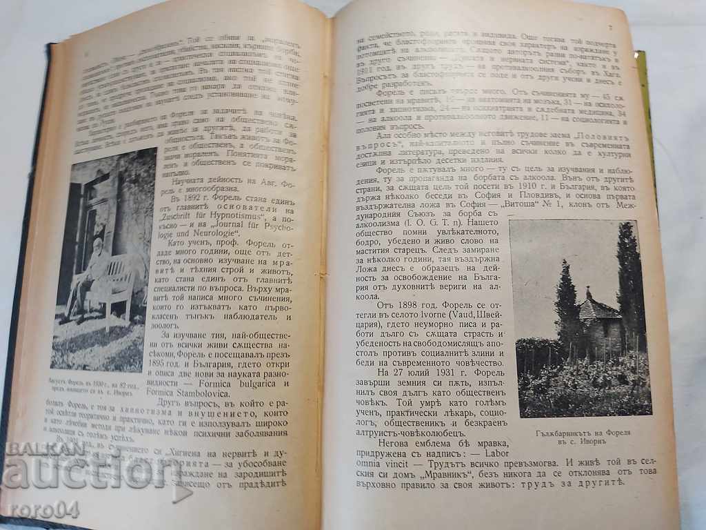 Licitație PROBLEMA DE GEN - AUGUST FOREL