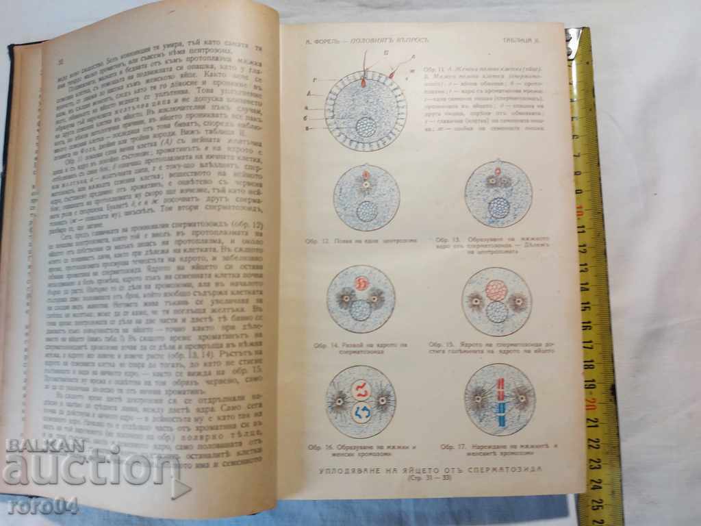 Delivery of THE GENDER ISSUE - AUGUST FOREL Delivery of THE GENDER ISSUE - AUGUST FOREL