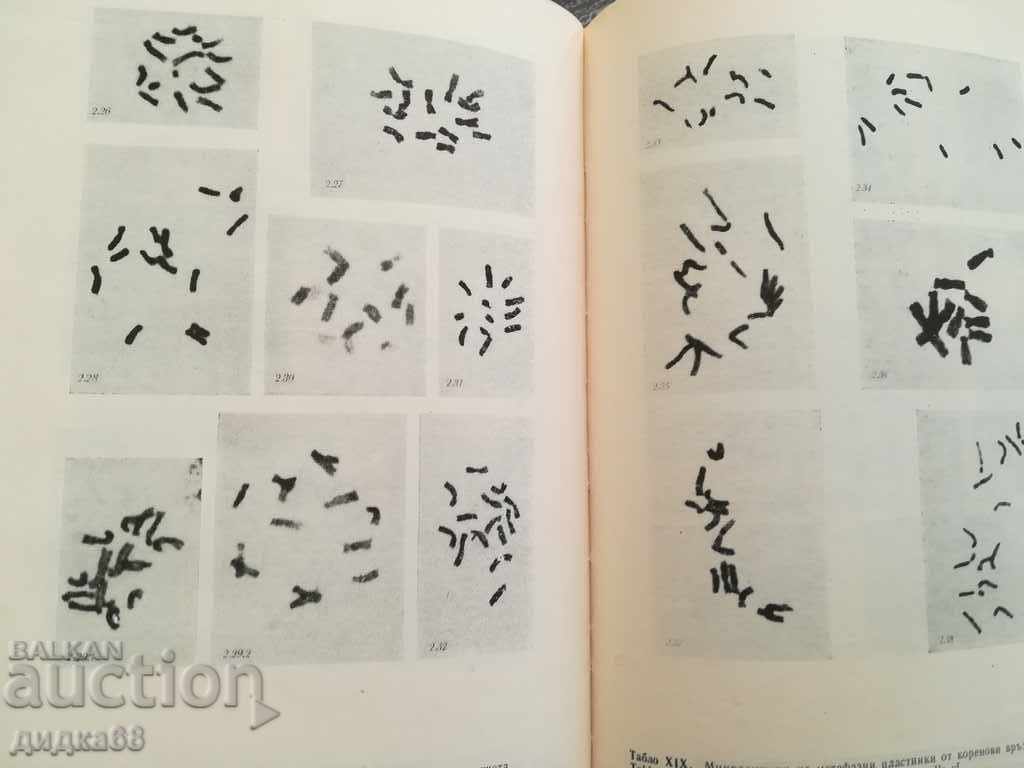 Evolution of flowering plants and phlorogenesis - Part 1 - 5 Evolution of flowering plants and phlorogenesis - Part 1 - 5