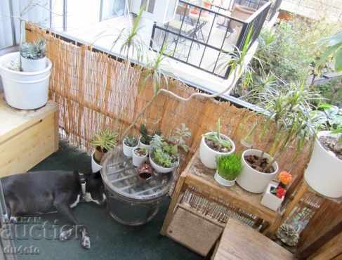 Reed covers, mats for fences, terraces, panels, hedges - 6 Reed covers, mats for fences, terraces, panels, hedges - 6