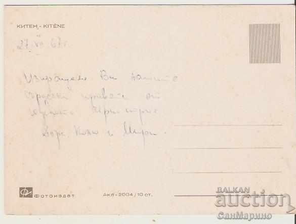 Card Bulgaria Kiten Vista 2 * with price 0.70 BGN | € 0.36