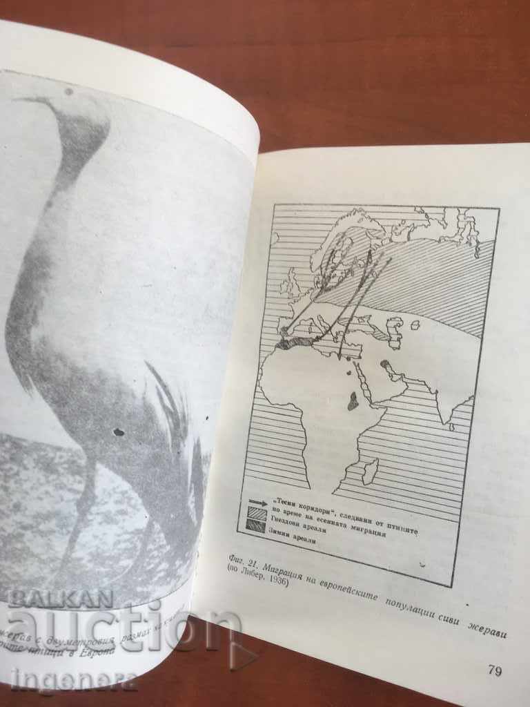 Auction MOTHER RICHER'S BOOK-THE TRAVEL OF ANIMALS-1980 Auction MOTHER RICHER'S BOOK-THE TRAVEL OF ANIMALS-1980