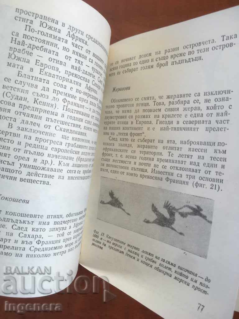 Delivery of MOTHER RICHER'S BOOK-THE TRAVEL OF ANIMALS-1980 Delivery of MOTHER RICHER'S BOOK-THE TRAVEL OF ANIMALS-1980